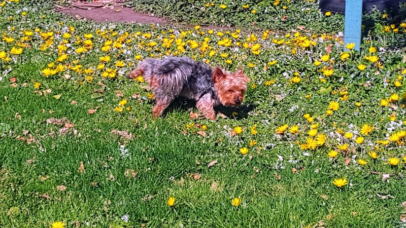 Wade Johnson Park - Oakland, CA