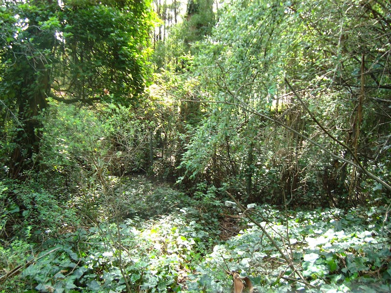 William D. Wood Park - Oakland, CA