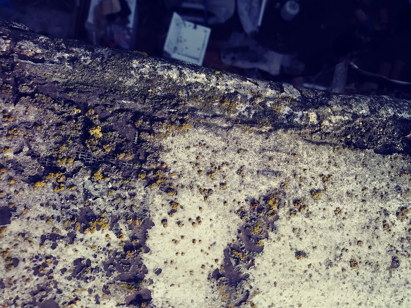 William D. Wood Park - Oakland, CA