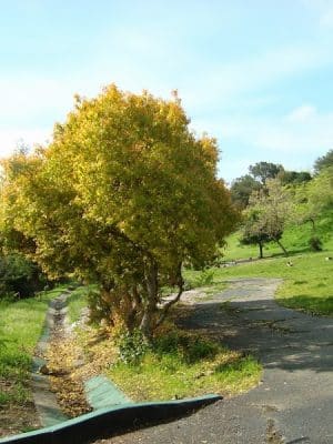 William D. Wood Park