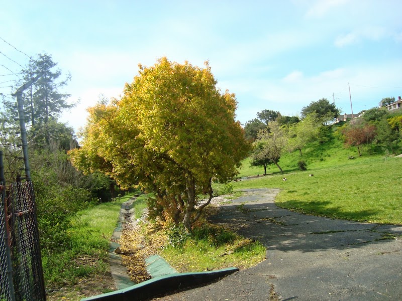 William D. Wood Park - Oakland, CA