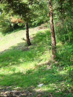 William D. Wood Park