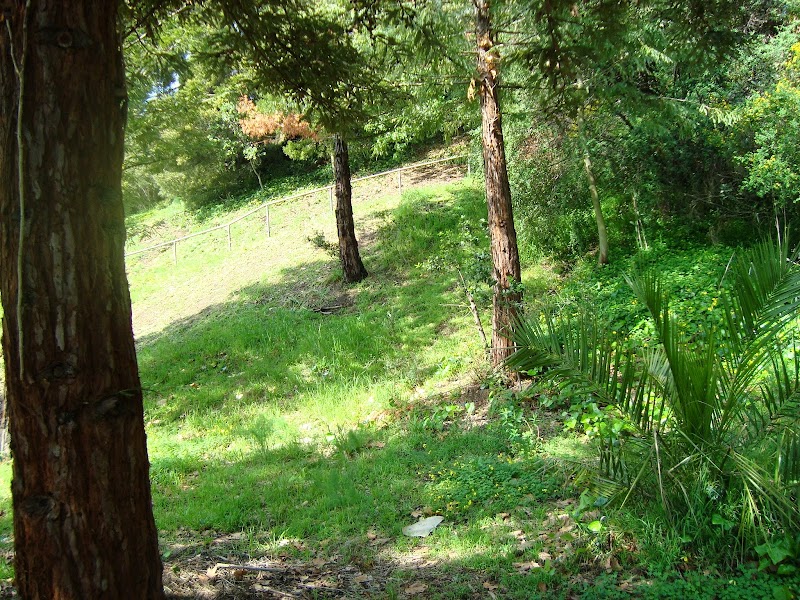 William D. Wood Park - Oakland, CA