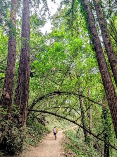 Joaquin Miller Park - Oakland, CA