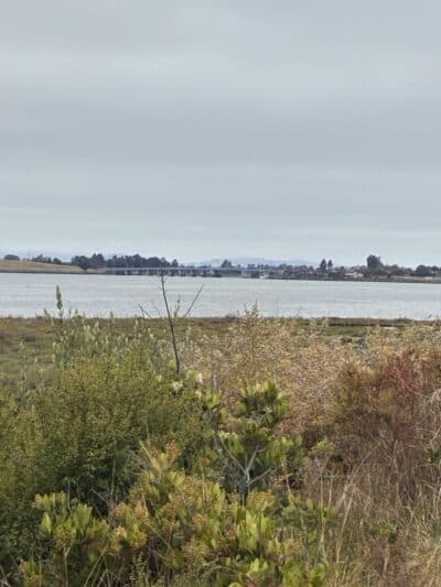 Martin Luther King Jr. Regional Shoreline - Oakland, CA