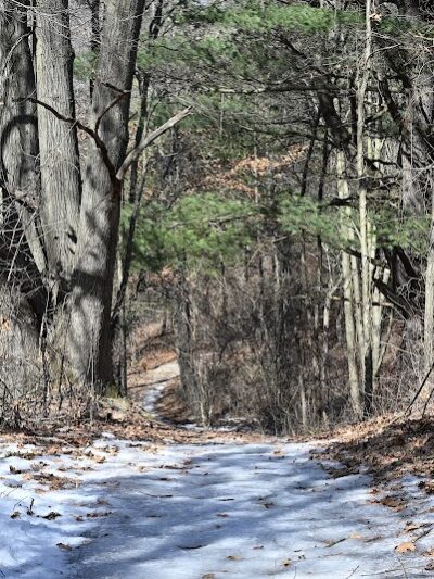 Graham Lakes Trailhead - Oakland Township, MI