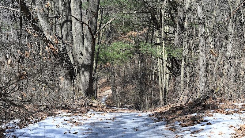 Graham Lakes Trailhead - Oakland Township, MI