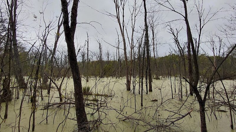 Graham Lakes Trailhead - Oakland Township, MI