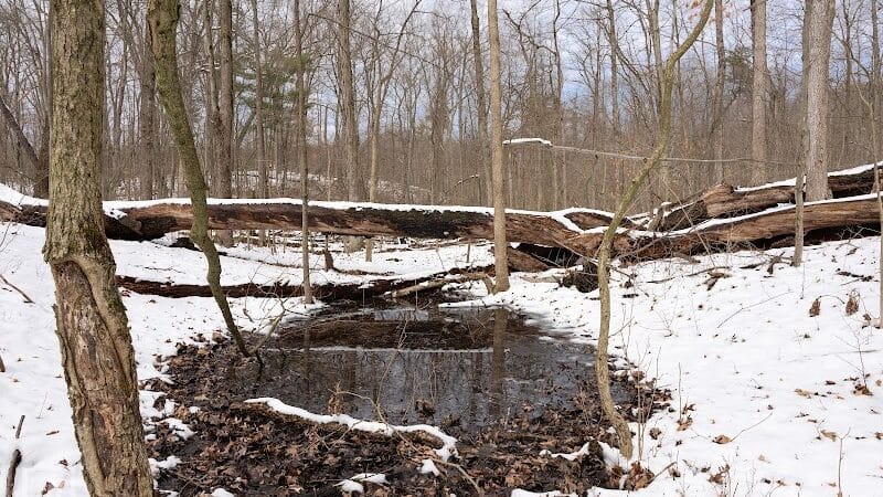 Graham Lakes Trailhead - Oakland Township, MI