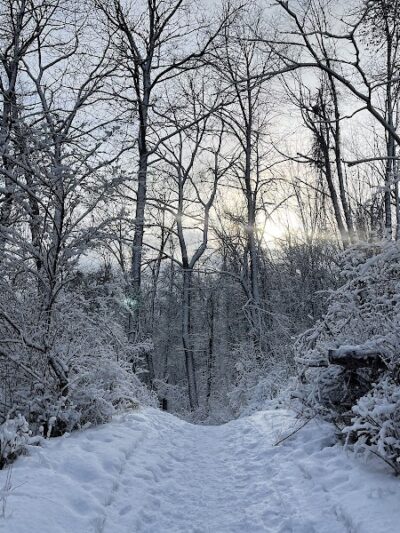 Lake George Trailhead - Oakland Township, MI