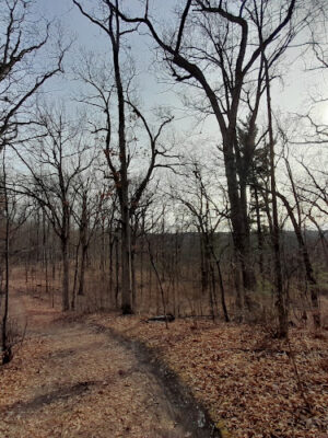 Lake George Trailhead