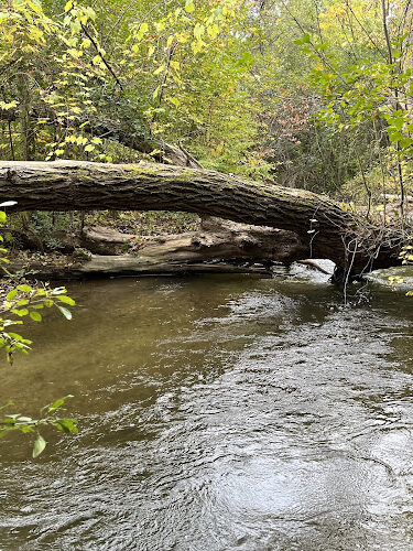 Paint Creek Junction Park
