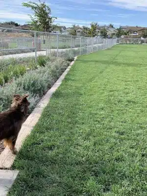 Koda Dog Park