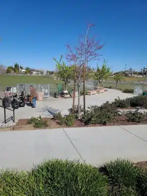 Koda Dog Park