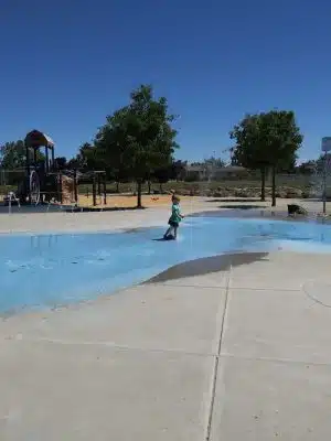 Koda Dog Park
