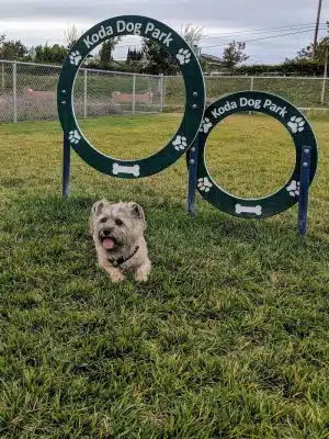 Koda Dog Park
