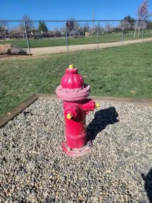 Koda Dog Park