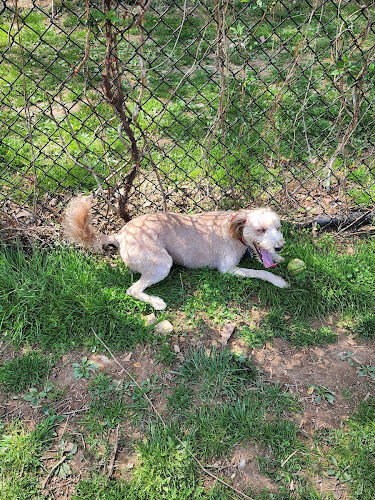 Blake Ln Dog Park Parking
