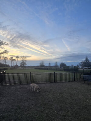 WEC Dog Park