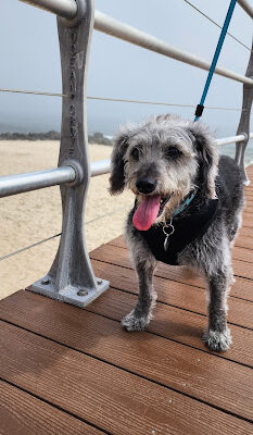 South End Beach (Ocean Grove)