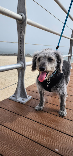 South End Beach (Ocean Grove)