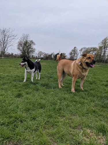 Wolf Hill Off-Leash Dog Park