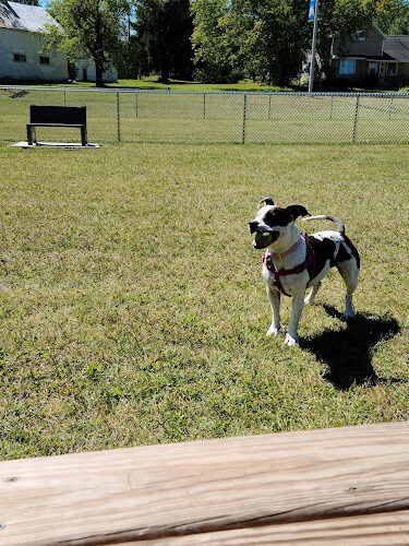 Oconto Falls Dog Park
