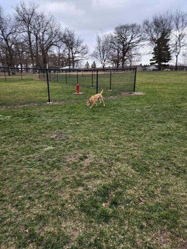 Oelwein City Park - Oelwein, IA