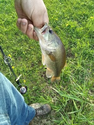 Oelwein City Park - Oelwein, IA