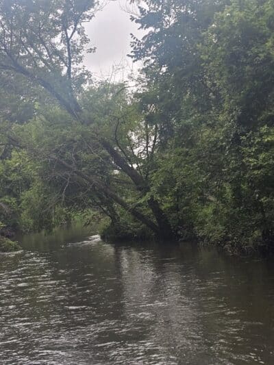 Oelwein City Park - Oelwein, IA