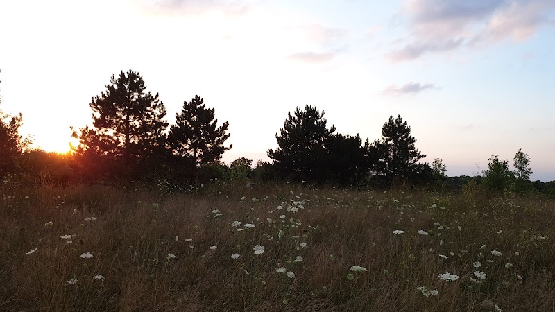 Meridian Township Private Large Dog Park - Okemos, MI