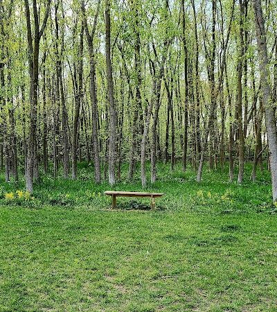 Meridian Township Private Large Dog Park - Okemos, MI