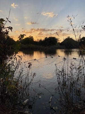 Bluff Creek Parking Lot