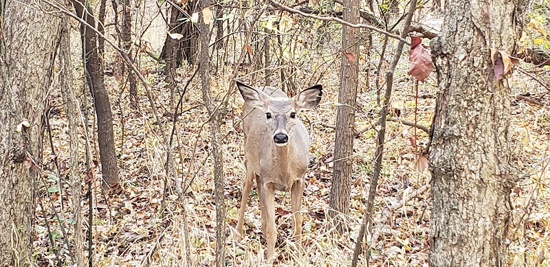 Bluff Creek Parking Lot - Oklahoma City, OK
