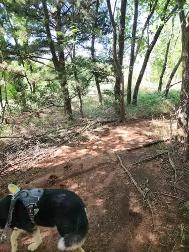 Bluff Creek Parking Lot