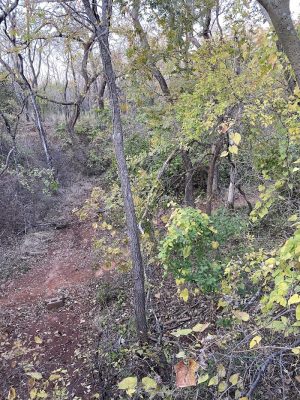 Bluff Creek Parking Lot
