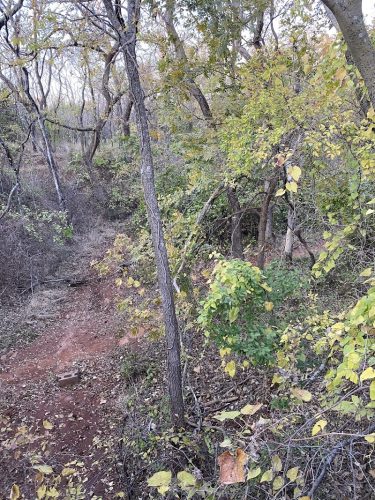 Bluff Creek Parking Lot