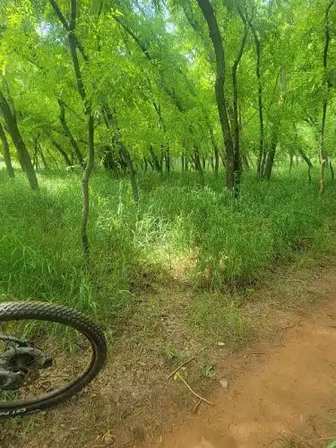 Bluff Creek Parking Lot