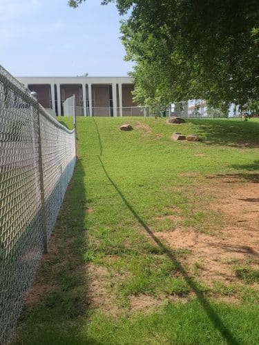 The Dog Park at Saint John's