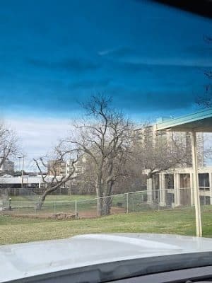 The Dog Park at Saint John's