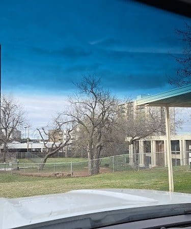 The Dog Park at Saint John's