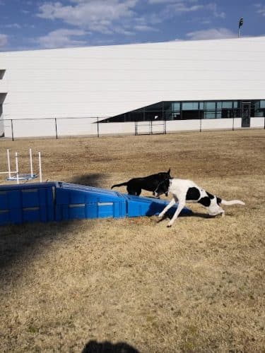 Barks & Brews Dog Park