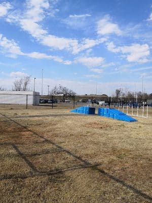 Barks & Brews Dog Park