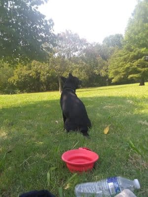 Berta Faye Rex Quail Creek Park