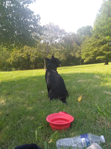 Berta Faye Rex Quail Creek Park
