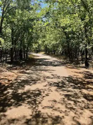 Bluff Creek Park