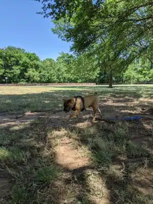 Bluff Creek Park
