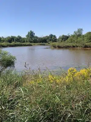 Bluff Creek Park