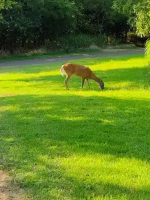 Bluff Creek Park