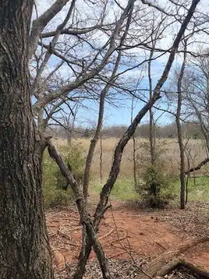 Bluff Creek Park